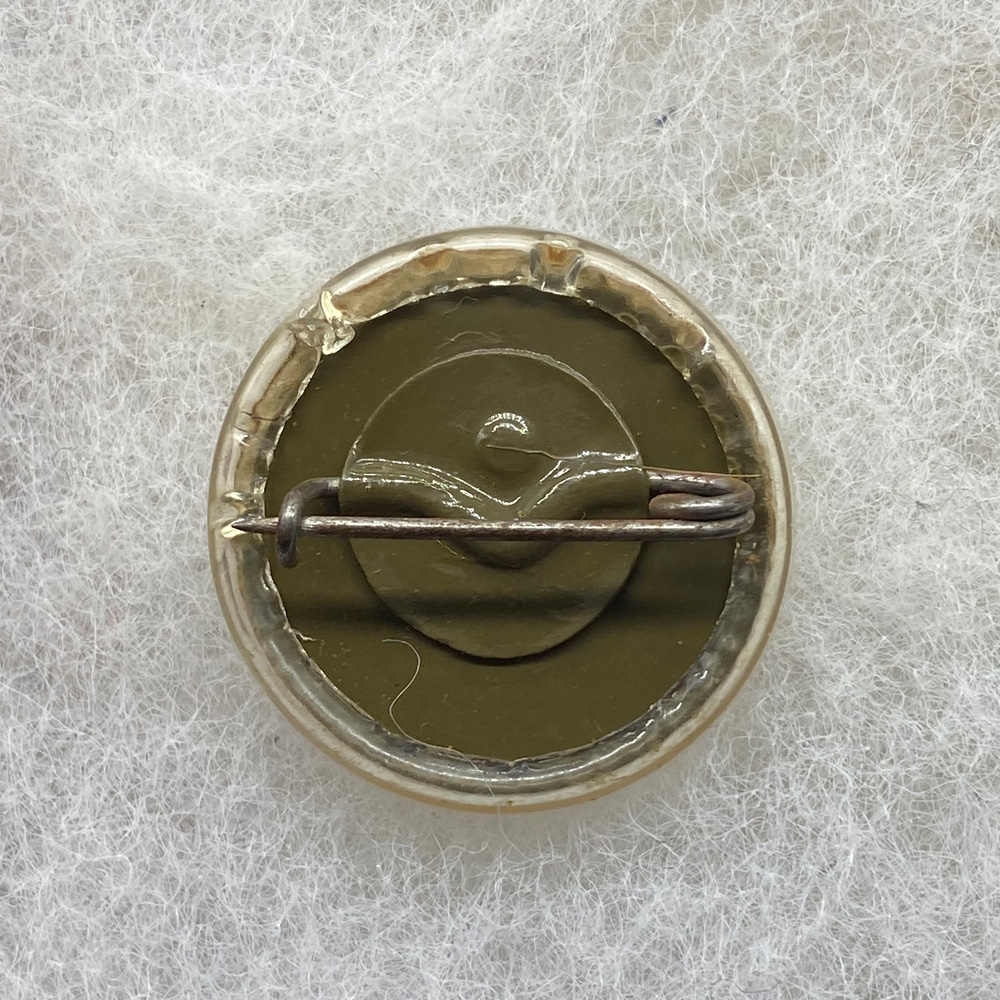 WW2 New York Guard 65th Regiment Collar Disk Plastic Short Lived ...