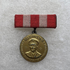 WW2 US War Service Boy Scout Waste Paper Campaign Pin