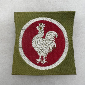 WW1 US Army Ambulance Service Liberty Loan Patch