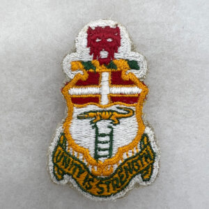 US Army 6th Infantry Regiment Pocket Patch Variation