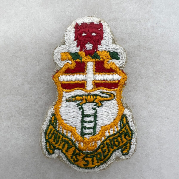 US Army 6th Infantry Regiment Pocket Patch Variation