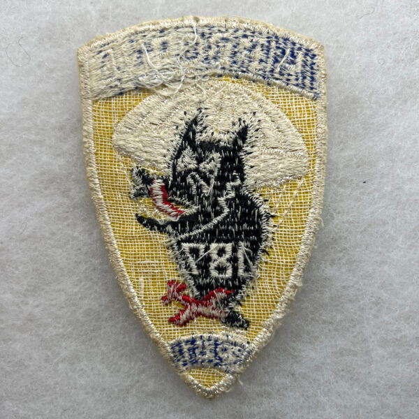 US Army 187th Airborne Paraglider Infantry Patch Felt Error - Image 2