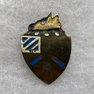 US Army 30th Infantry Regiment DUI Theater Made