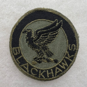 US Army 1st Cavalry Regiment Pocket Patch Twill Subdued