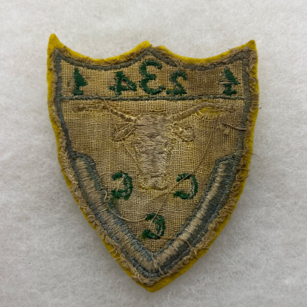 WW2 US Civilian Conservation Corps Patch Company 243 Patch Felt - Image 2