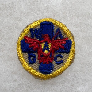 WW2 US Women's Auxiliary Defense Corps Cloth Collar Patch 1 Inch Twill