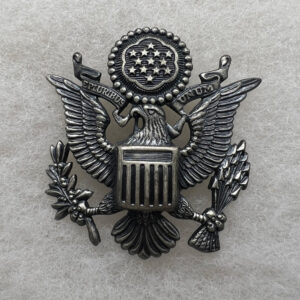 US Air Force Officer Hat Badge