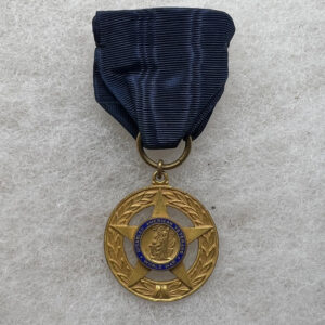 Disable American Veterans World War Medal