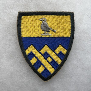 US Army 101st Armored Cavalry Regiment Pocket Patch AG Border