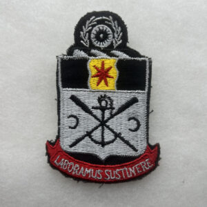US Army 10th Engineer Pocket Patch