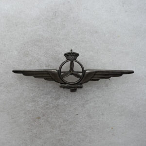 WW2 Italian Air Force Mechanic Wing
