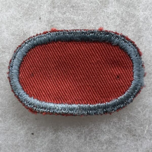WW2 US Army 501st Infantry 101st Airborne Division Parachutist Oval Greenback