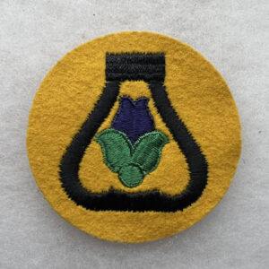 US Army 21st Cavalry Division Patch Felt