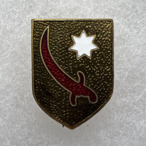 WW2 US Army Persian Gulf Command DUI Pinback