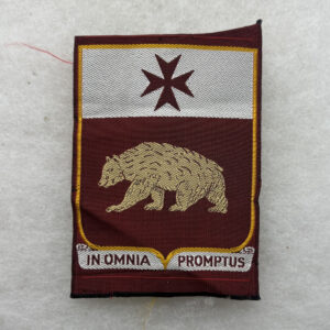 US Army 1st Medical Battalion Pocket Patch German Made Bevo Woven