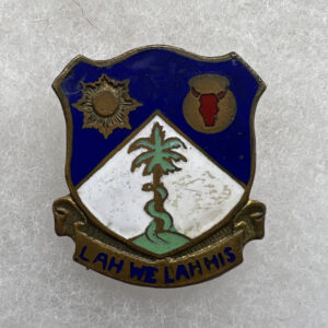 WW2 US Army 134th Infantry Regiment DUI Screwback