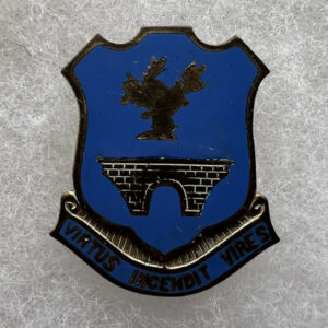 WW2 US Army 120th Infantry Regiment DUI Screwback