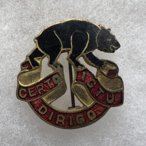 WW2 US Army 6th Coast Artillery DUI Pinback