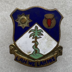 WW2 US Army 134th Infantry Regiment DUI Screwback