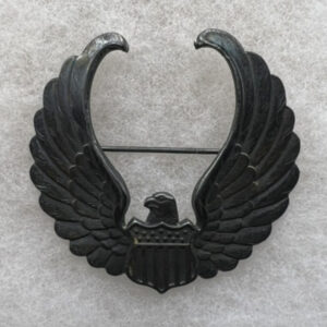 WW2 US Army Air Force Civilian Pilot Training Cap Badge Sterling