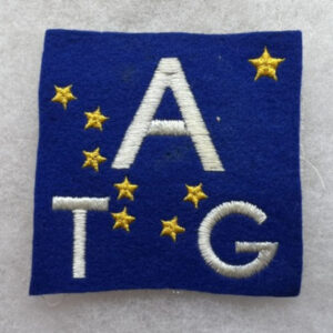 WW2 Alaska Territorial Guard Patch Felt